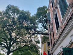 -星巴克臻选(广州沙面店)