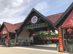 -上海海湾国家森林公园