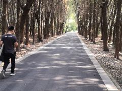-同里国家湿地公园