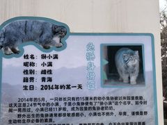 -青藏高原野生动物园