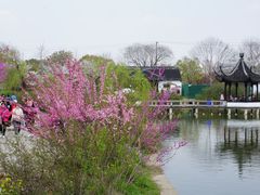 -苏州上方山国家森林公园