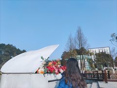 -铁山坪森林公园