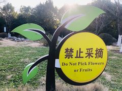 -堤角公园