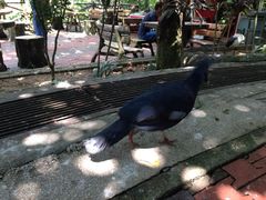 iphone_upload_pic-吉隆坡雀鸟公园