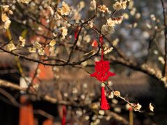 -钱王祠