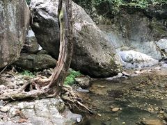 -白云源风景区