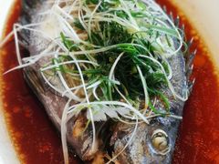 -东寨港红树林旅游区