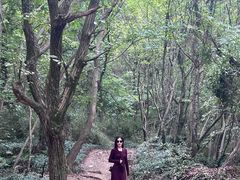 -虞山风景区