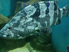 -石家庄海洋公园