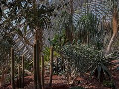 -上海辰山植物园
