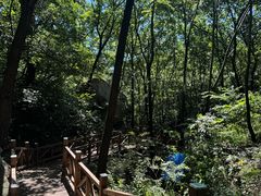 -大岭沟猕猴桃谷风景区