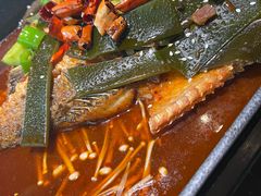 -蛙喔牛蛙(高新绿宝店)