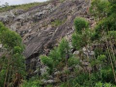 -水濂山森林公园