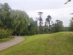 -永定河休闲森林公园