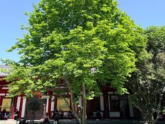 -大慈恩寺(大雁塔)
