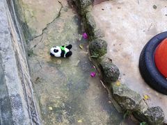 -海南热带野生动植物园