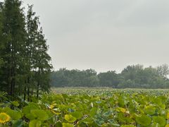 -云龙湖旅游景区