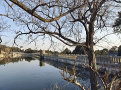 -泰山风景名胜区-虎山公园
