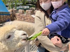 -J Create城市露营咖啡·简餐·宠物(上海动物园店)