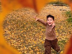 -千年银杏谷文化旅游区