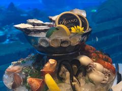 海鲜拼盘-亚特兰蒂斯•OSSIANO奥西亚诺海底餐厅