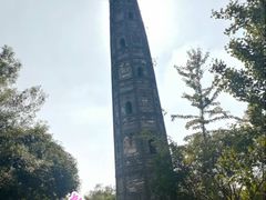 -上海佘山国家森林公园天马山园