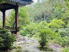 -水濂山森林公园