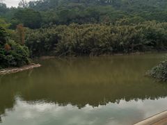 -滴水岩森林公园