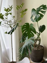 -Hair Co.一间沙龙