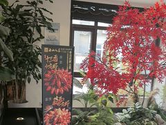 -西山人家·传统苏帮菜·家宴(木渎店)