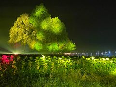 -中国天府农业博览园