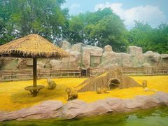 -沈阳森林动物园