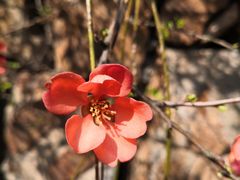 -昆山城市生态森林公园