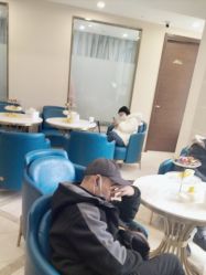 -碧莲盛·不剃发植发