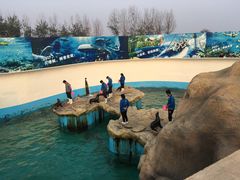 -秦皇岛乐岛海洋王国
