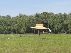 -长兴太湖图影湿地文化园