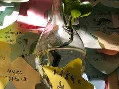 -大王油茶(二厂文创公园店)