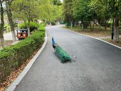 -宁波野生动物园