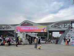 -曹州牡丹园