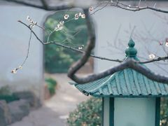 -秋霞圃