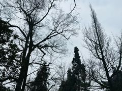 -灵隐飞来峰景区