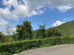 -阳台山森林公园