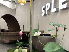 -金茂览秀城