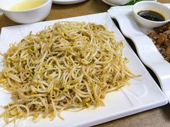 笨豆芽炒肉丝-鑫诚筋饼王(红旗小区店)