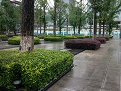 -百林公园-两江幸福广场