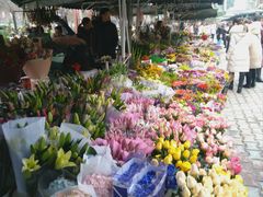 -三圣花乡旅游区