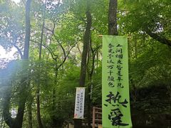 -大金鹰园