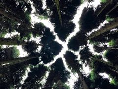 -山王坪喀斯特国家生态公园