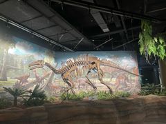 -辽宁古生物博物馆