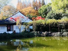 -上海醉白池公园